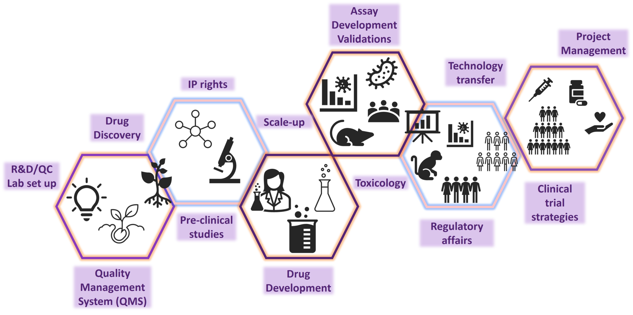 Drug development pathway